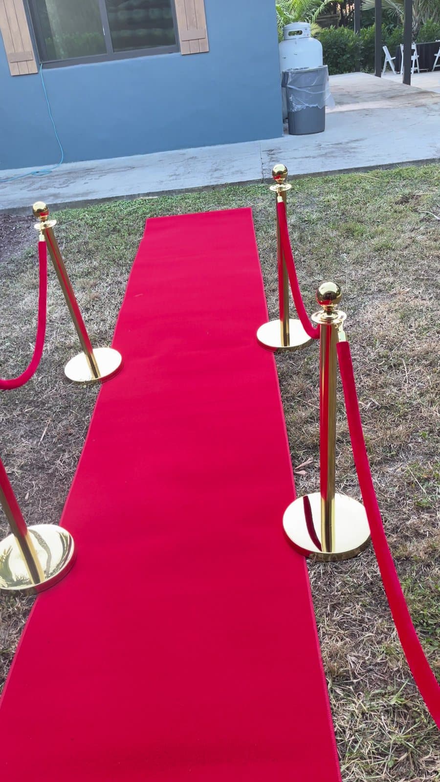 A red carpet lined with gold stanchions across a lawn